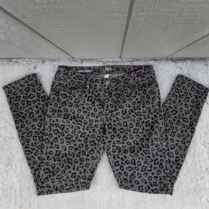 𝅺Ann Taylor LOFT Gray Animal Print Modern Skinny Corduroy Pants Size 6